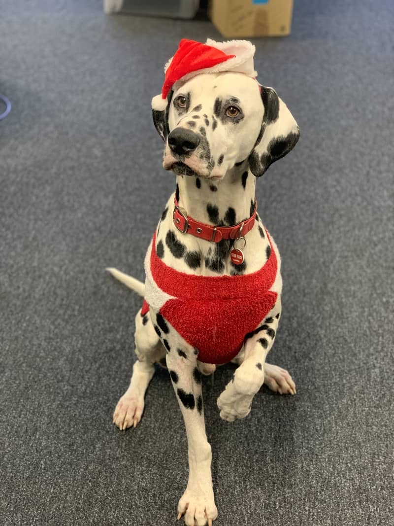 Save the Children Xmas Jumper Day 2021